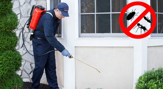 Akşehir Böcek İlaçlama böcek ilaçlama ve haşere kontrolü — ilaclama-tr.com